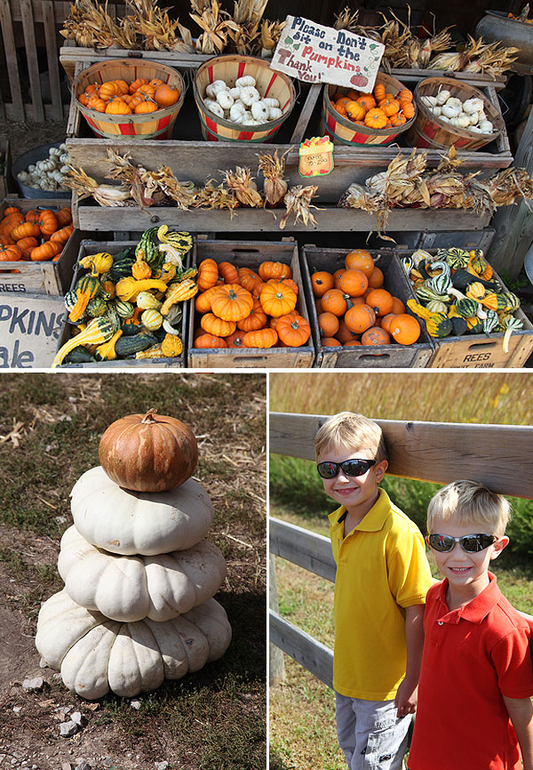 pumpkinpatch-03