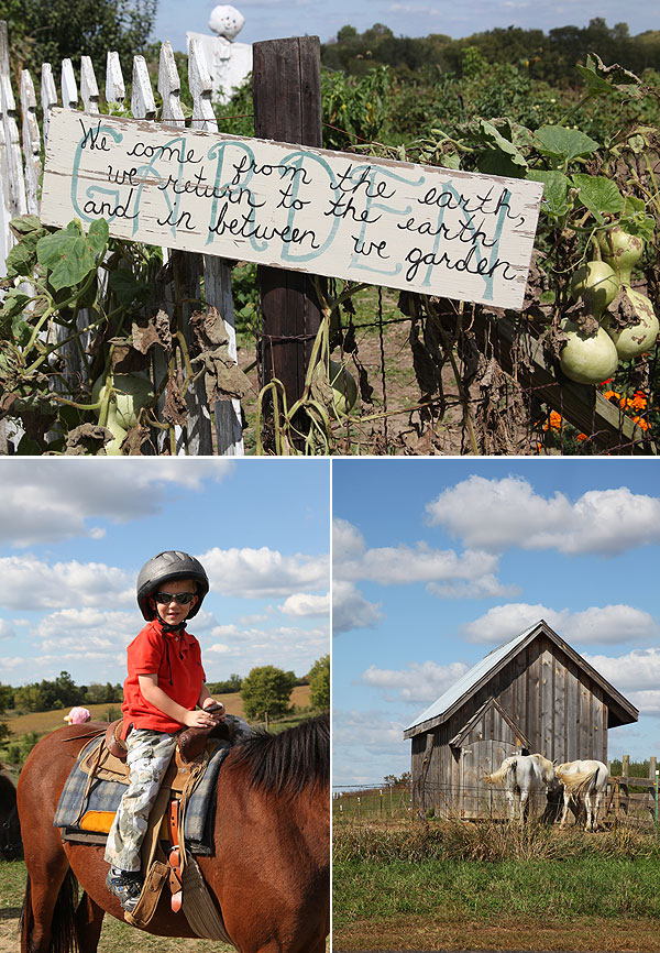 pumpkinpatch-05