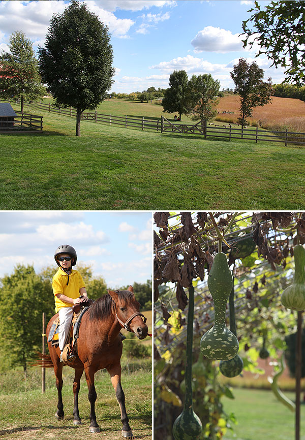 pumpkinpatch-06