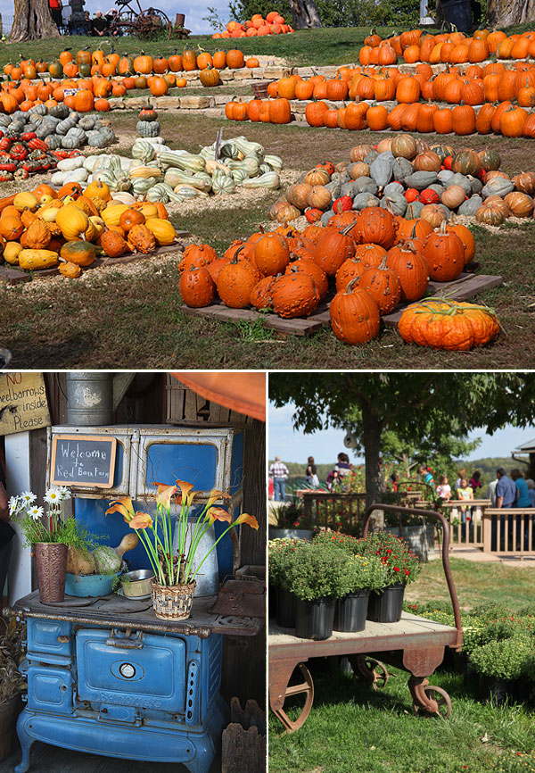 pumpkinpatch-07