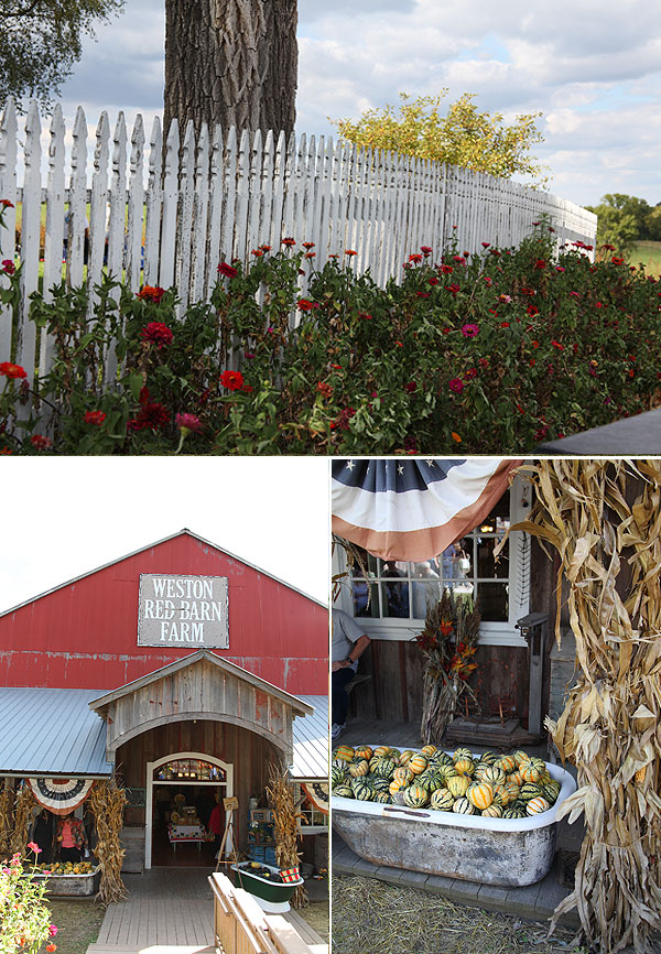 pumpkinpatch-08